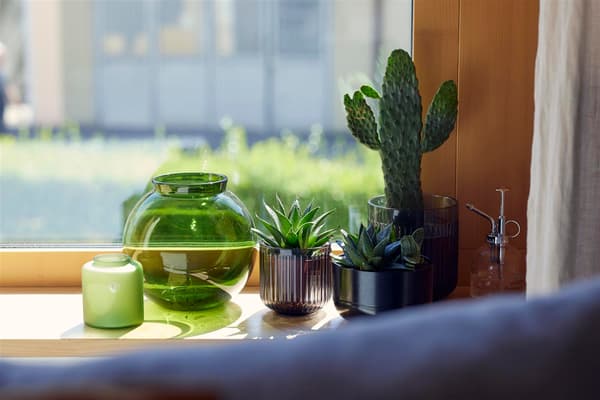 Nahaufnahme einer Fensterbank mit verschiedenen Vasen und Blumentöpfen aus Glas mit Kakteen darin