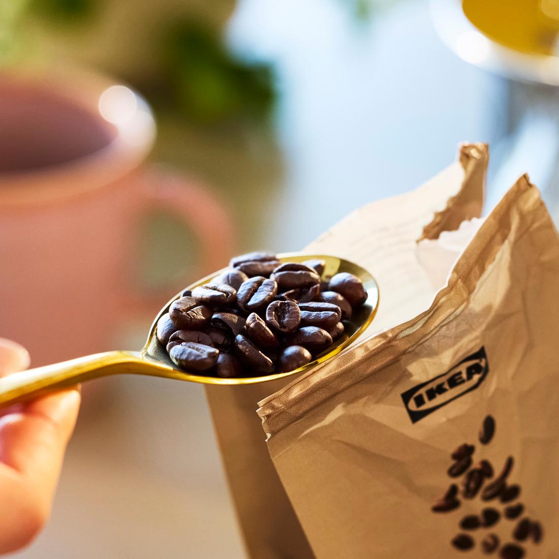 New coffee beans
