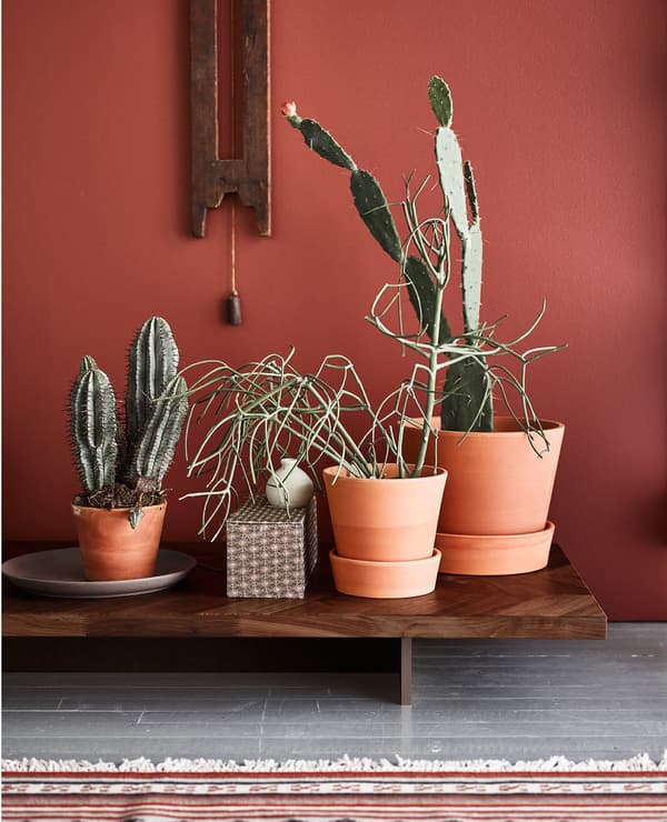 Nous raffolons de cette tendance qui fait la part belle aux pots en terre cuite, aux meubles en bois foncé et aux couleurs terre.