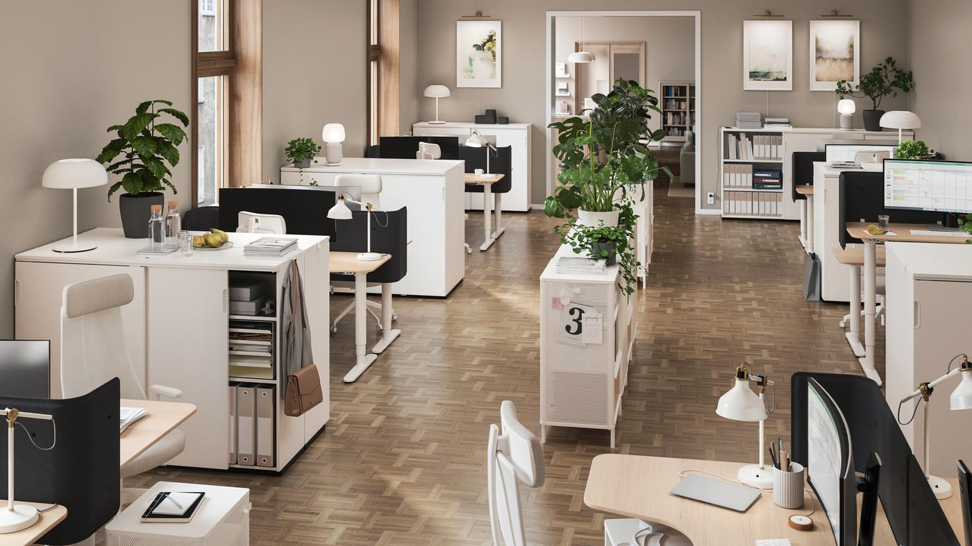Office space with open and closed storage, shelves as room dividers, work desks, seating, plants and hanging posters.