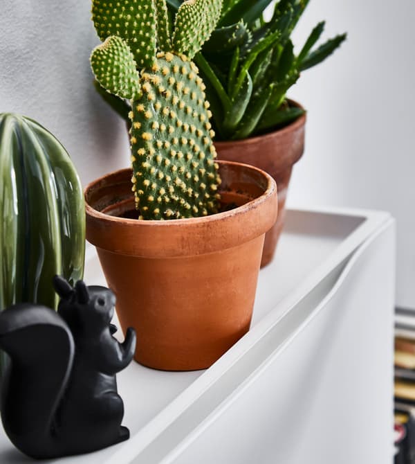 Oggetti decorativi e piantine sulla parte superiore della scarpiera TRONES - IKEA.