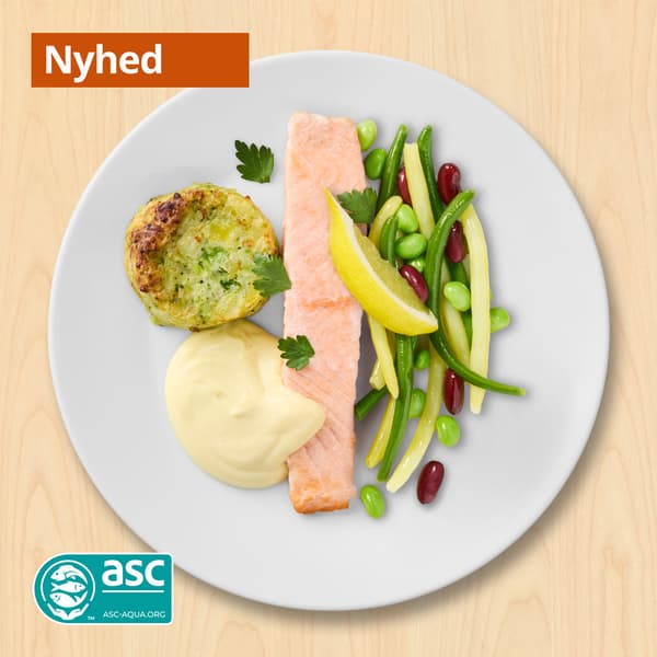 Ovnbagt laksefilet
serveret med grøntsagsmedaljon, bønnemix, citron og hollandaisesauce

89.-

ASC-certificeret opdrættet laks. www.asc-aqua.org ASC-C-00703