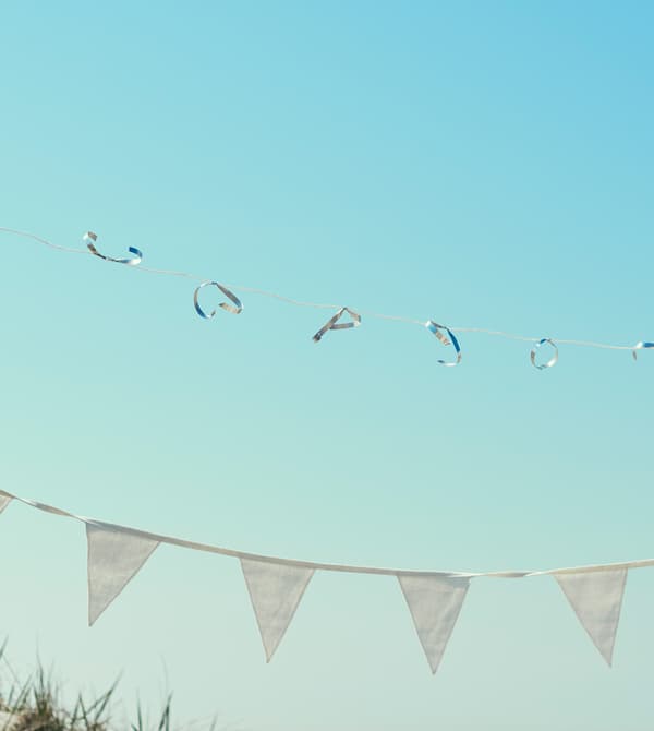 Party decorations hang above the picnic area.