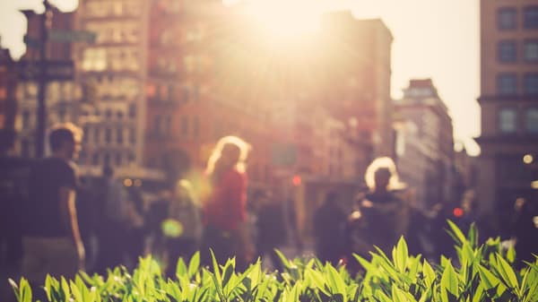people walking in a city on a sunny day