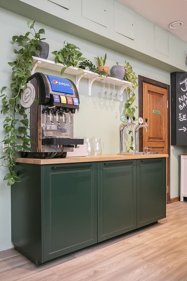 Pepsi soda dispenser and beer taps on a green counter with decorative plants in a modern café.