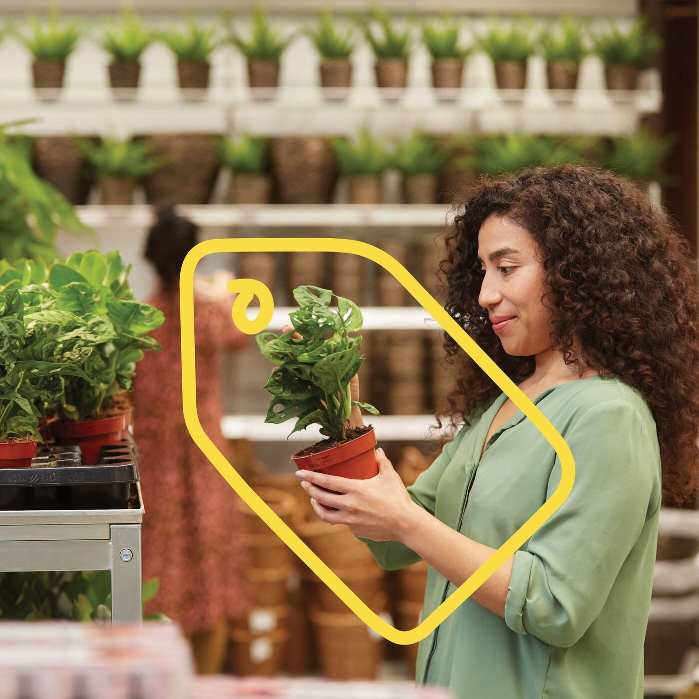 Person holding a small potted plant in a garden store, surrounded by shelves of greenery and decorative pots, carefully examining the plant while shopping.