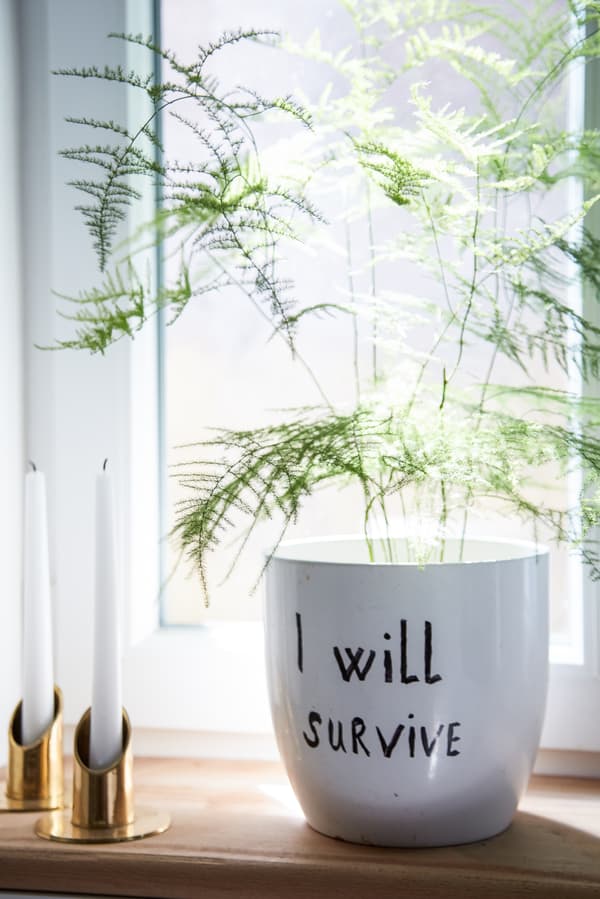 Personalise a plain pot.