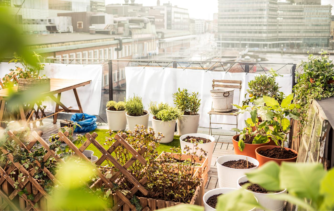 Petit jardin aménagé sur un toit, avec carré d’herbe 