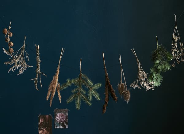 Petites bouquets de feuilles séchées disposées en guirlande, sur fond foncé.