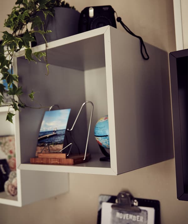 Photos et plantes dans un cube de rangement ouvert.