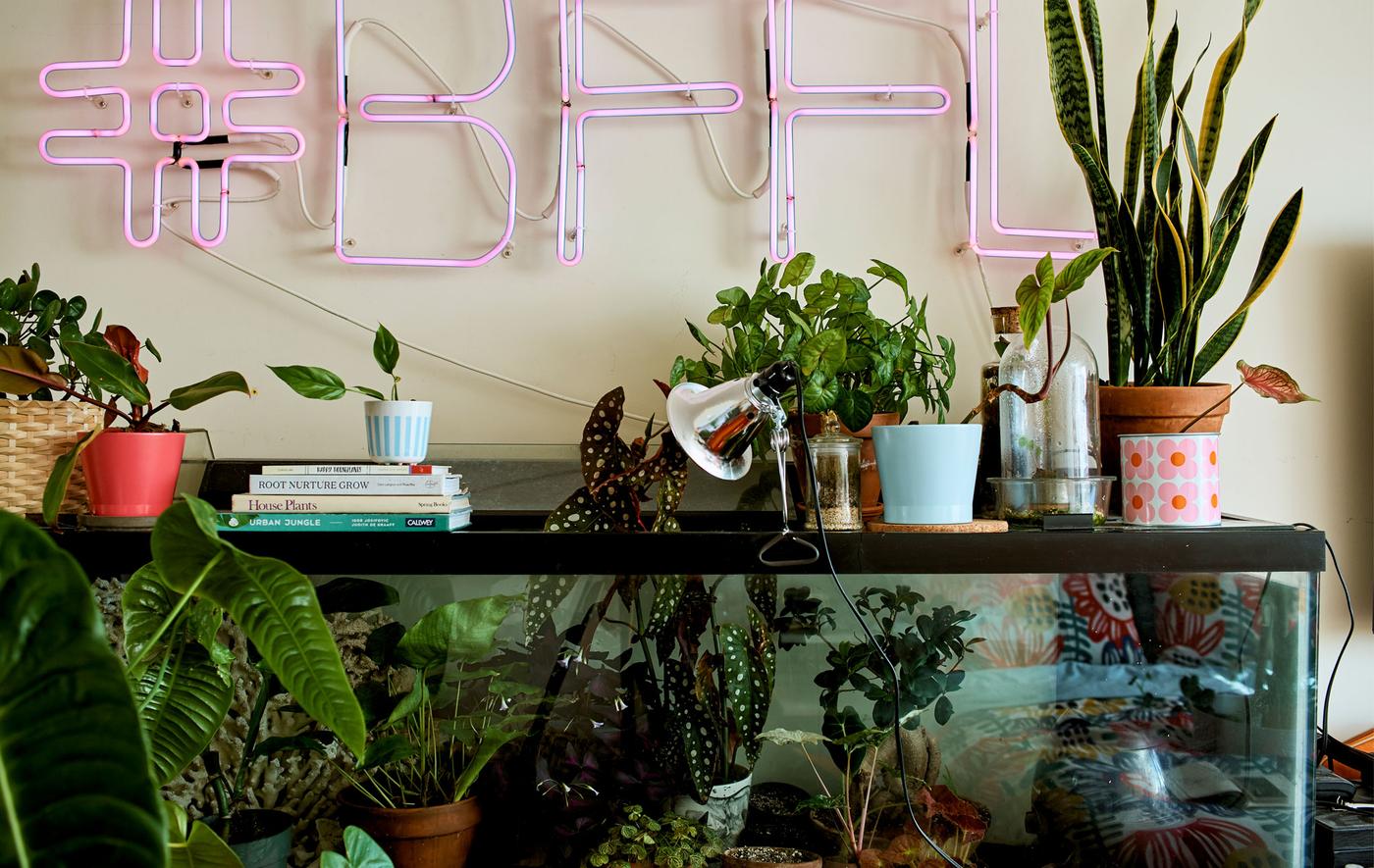 Pièce avec plantes posées dans un aquarium et enseigne lumineuse rose au mur.