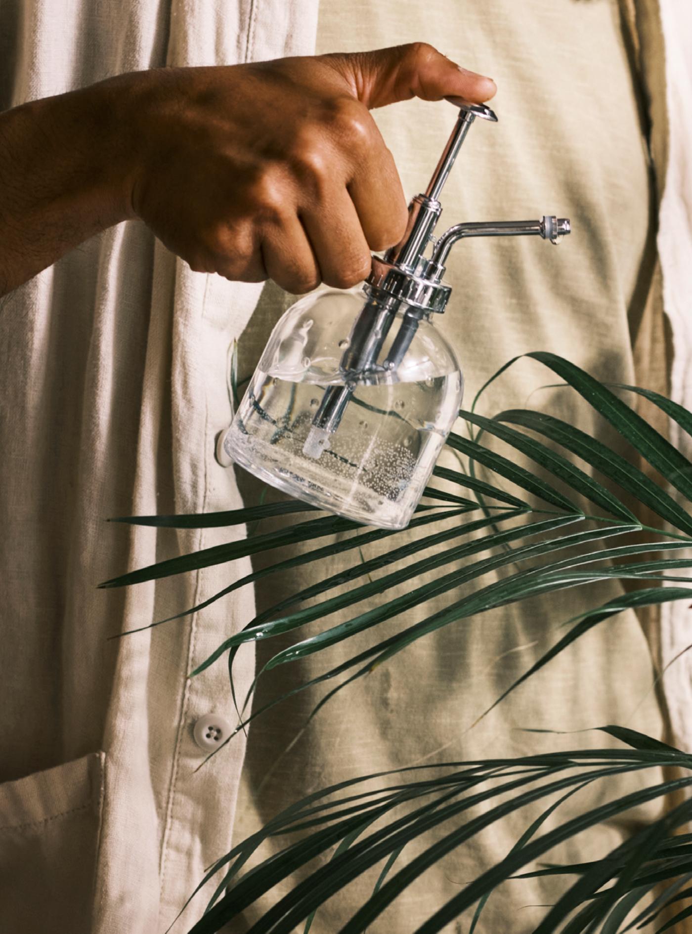 Plant mister