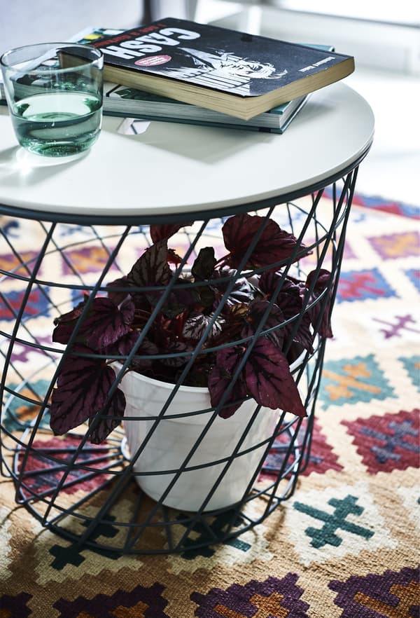 Plante à l’intérieur du pied d’une table basse posée sur un tapis à motifs.