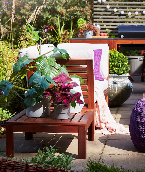 Plantes de tailles et de couleurs différentes placées sur une terrasse avec meubles d’extérieur et jardin en arrière-plan.