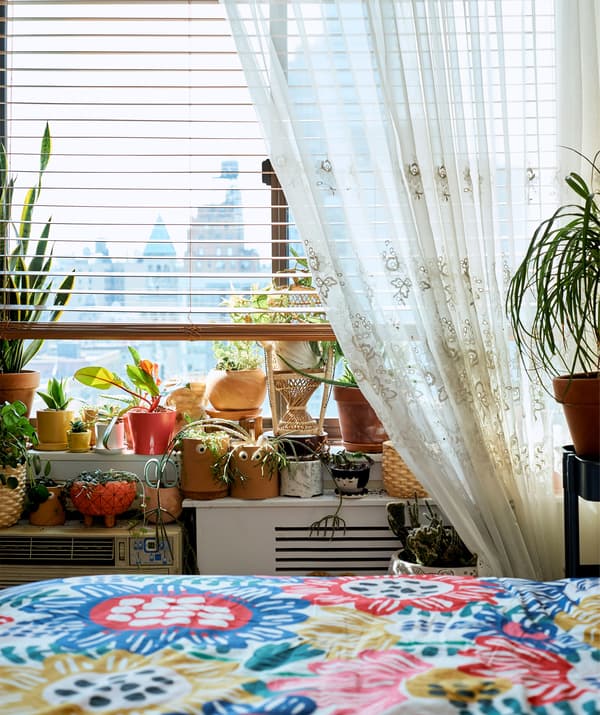 Plantes d'intérieur disposées sur un appui de fenêtre, près d'un lit multicolore.