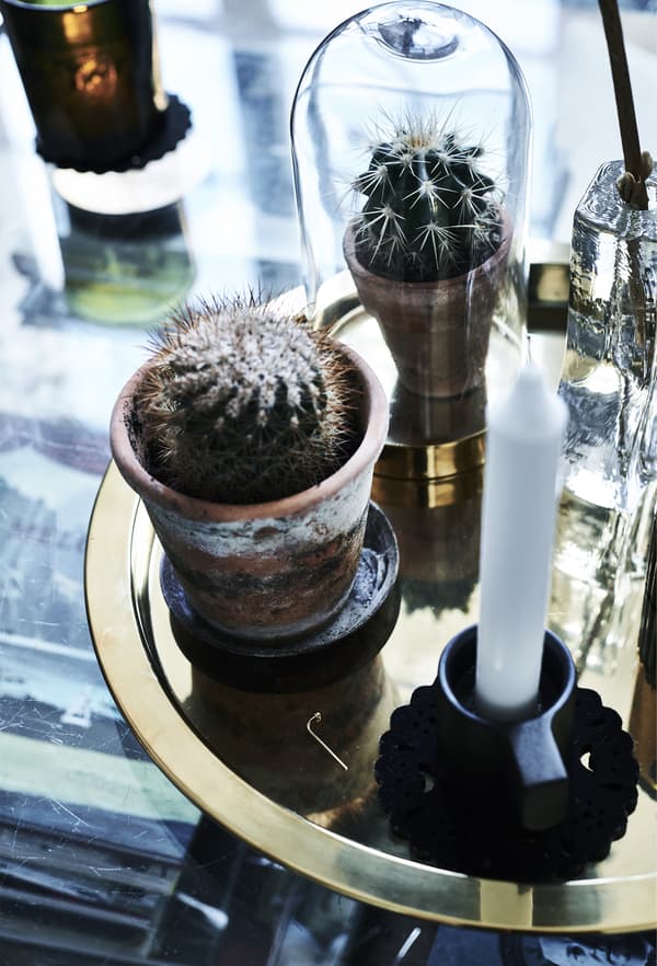 Plantes et bougies sur un plateau doré.