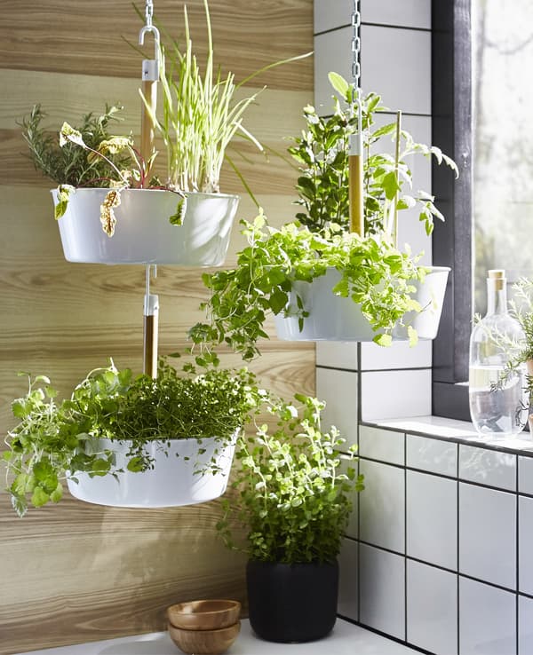 Plantes suspendues et plantes en pots près d'une fenêtre, dans une cuisine suédoise.