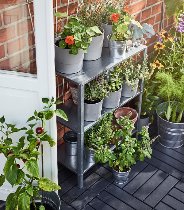Plantes variées posées sur une étagère HYLLIS 