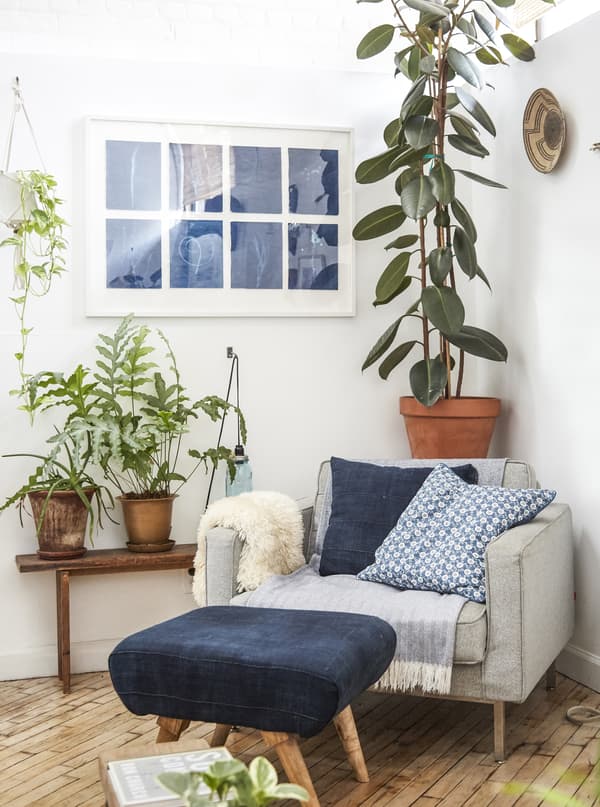 Plants and an armchair fill a corner of the living room