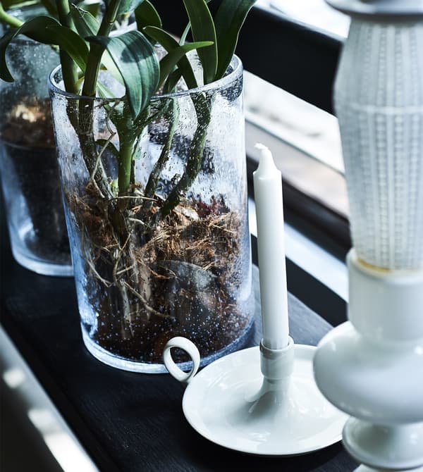 Plants and candles on a windowsill.