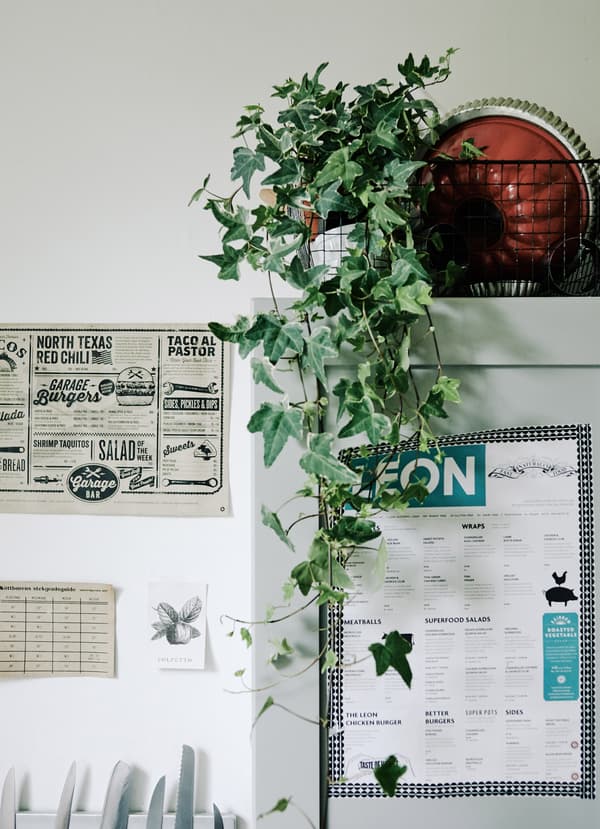Plants bring life to the kitchen too