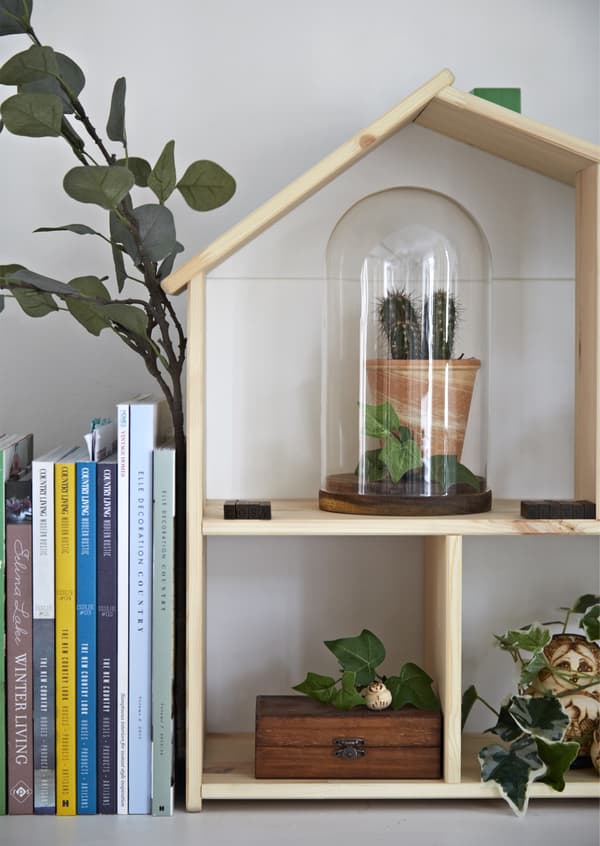 Plants displayed in a doll’s house wall shelf.