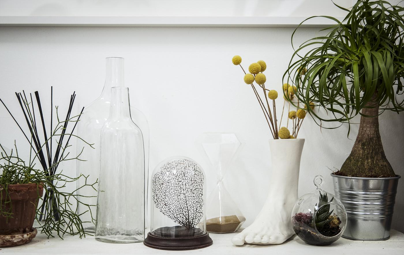 Plants displayed in different pots and vases
