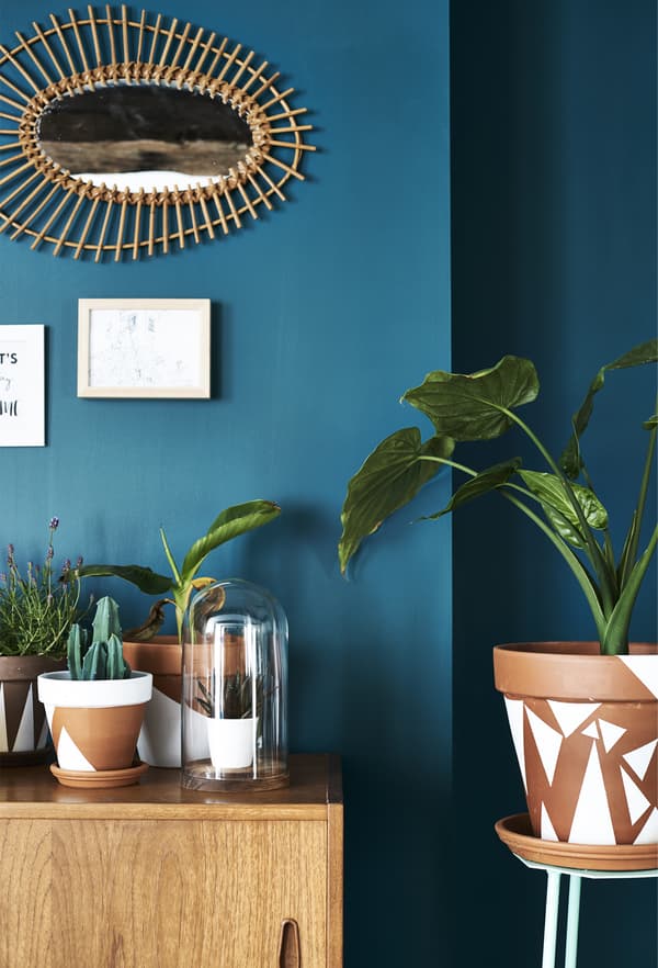 Plants in painted terracotta pots.