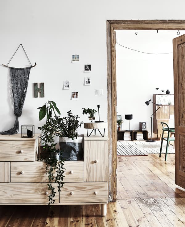 Plants on top of a wooden storage unit next to an open doorway.