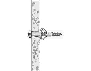 plug with screw