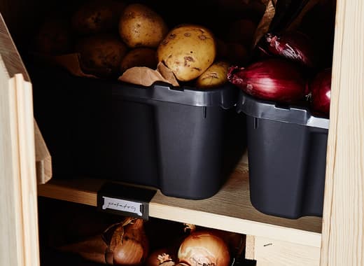 Pommes de terre et oignons rangés dans des boîtes en plastique noir