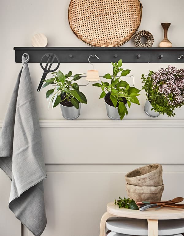 Potted plants clipped to a trouser hanger hanging from black shelf with wall pegs.