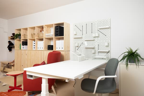 Рабочая зона в кабинете психолога с шкафами IKEA, декоративными растениями и местами для сидения.