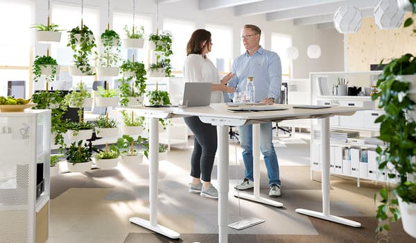Ratgeber Bürobeleuchtung: richtiges Licht am Arbeitsplatz