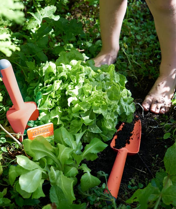 Red plastic gardening tools lying among plants in a garden herb patch.