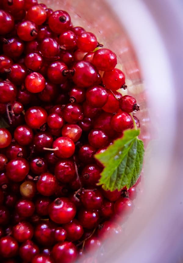  Redcurrants are perfect for a summer cordial.