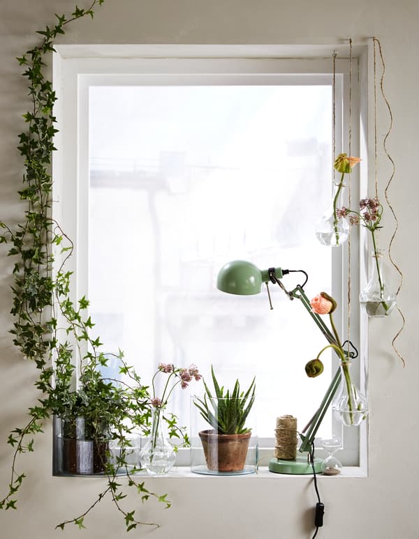 Remplacez les rideaux par différentes variétés de fleurs coupées et de plantes vertes. IKEA a les vases qu'il vous faut, comme VILJESTARK. Cette fenêtre est tout entière décorée de végétaux.