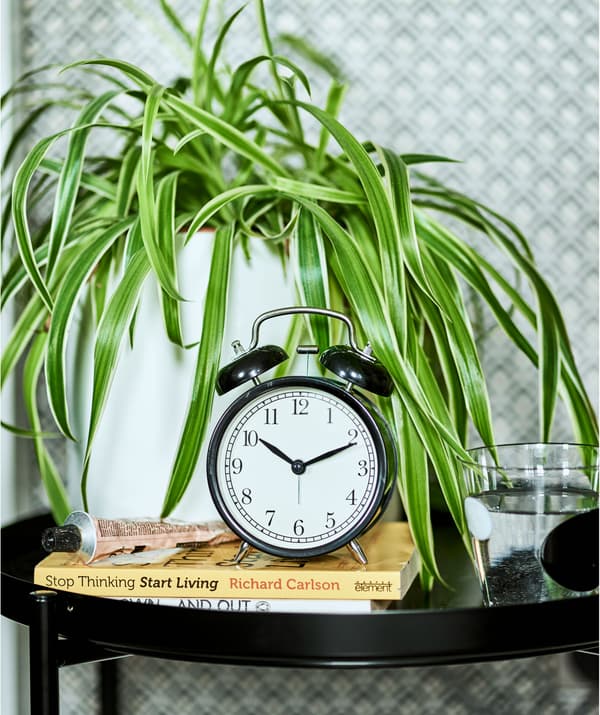 Réveille-matin noir sur une pile de livres posés sur une table plateau noire, et Chlorophytum comosum dans un pot blanc.