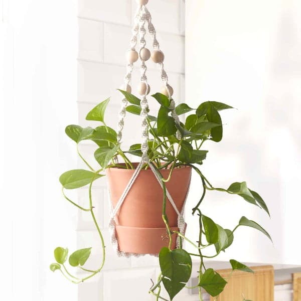 植木鉢吊り下げネット