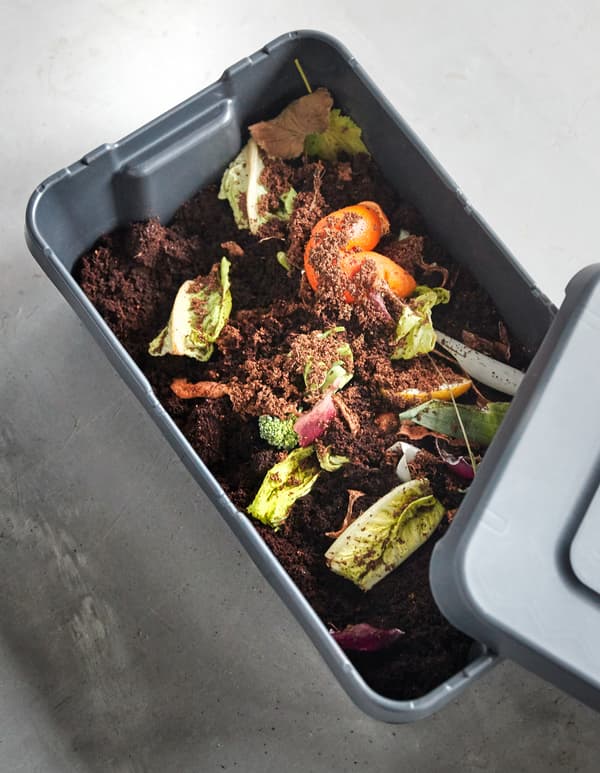 Salad scraps are mized with soil in a lidded plastic bin to create compost for plants.