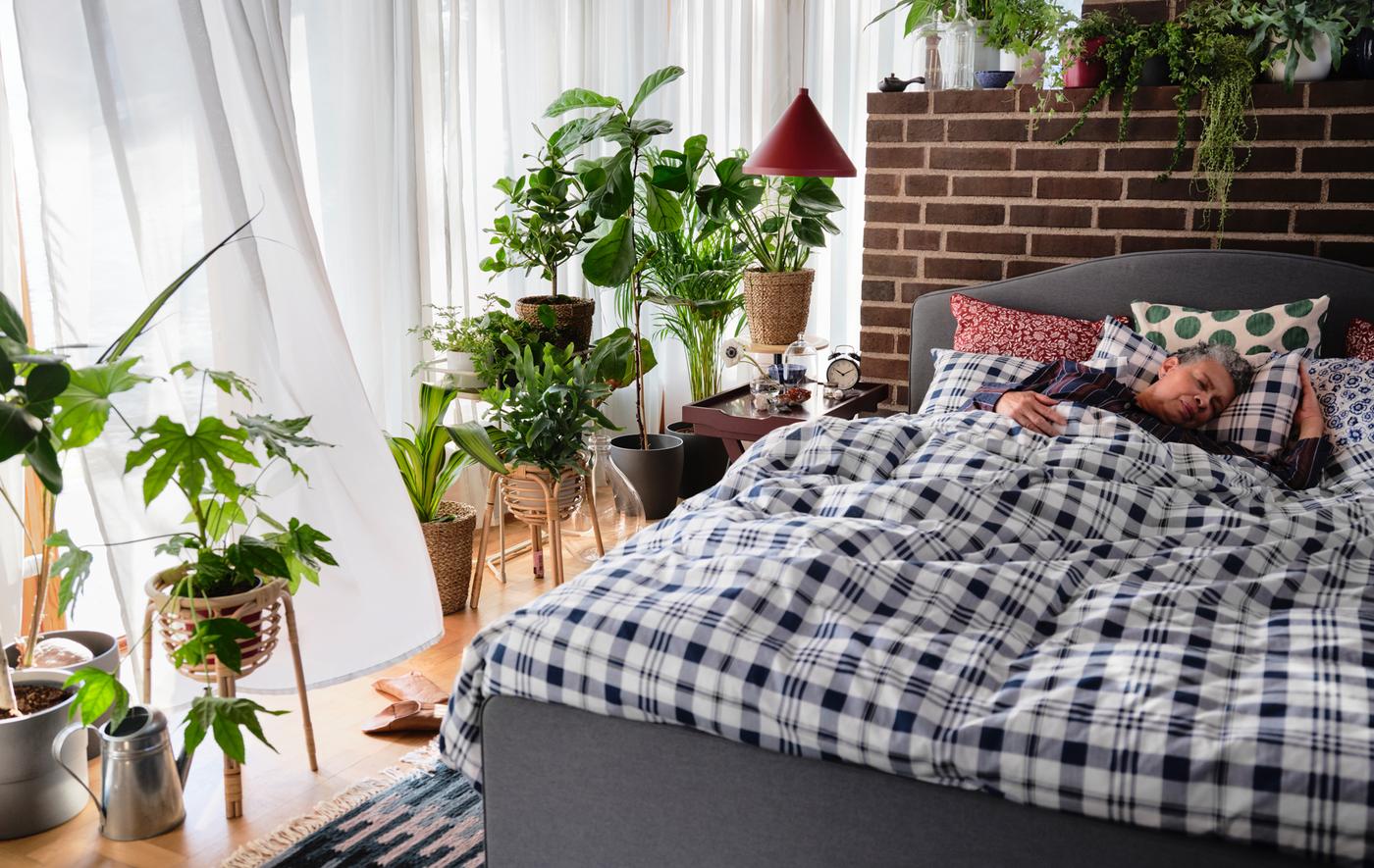 Seorang wanita tidur di atas katil upholsteri HAUGA dengan sarung duvet bercorak petak-petak dan dikelilingi oleh tumbuh-tumbuhan hijau.