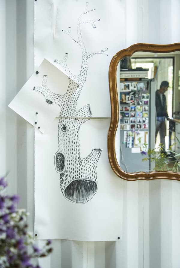 Sketches of a tree and a mirror.