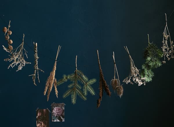 Small bundles of dried foliage hanging in a garland against a dark background.