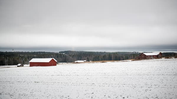 Snötäckt landskap med en röd stuga och mörk skog i bakgrunden. 