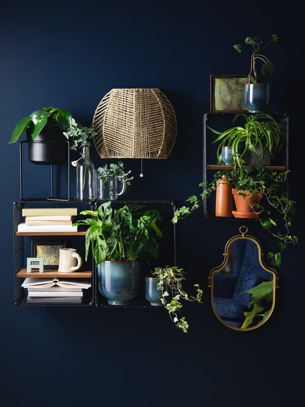 Style your home with indoor plant decor