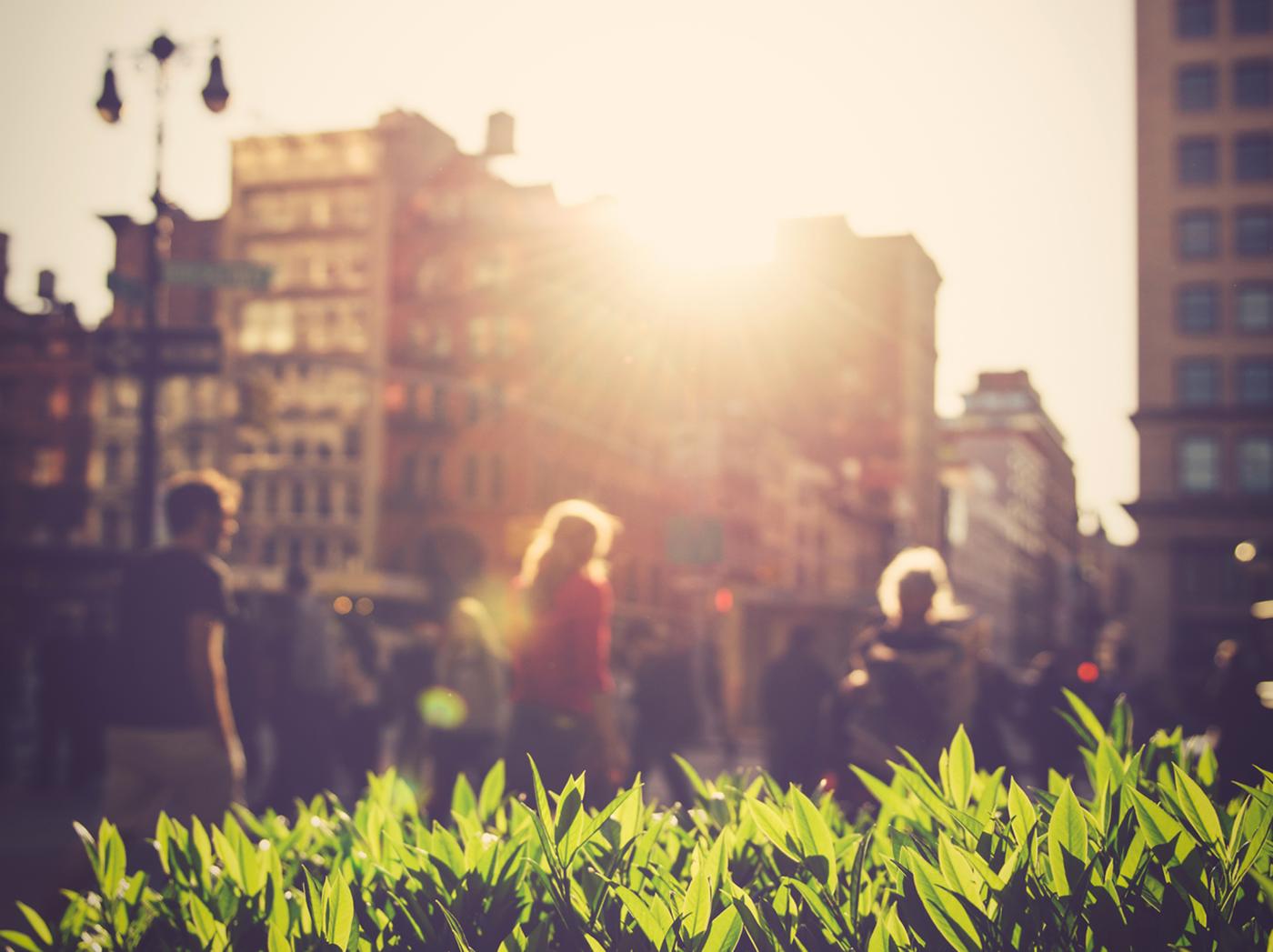 Sunlight is shining through a couple of buildings onto a bright green plant. There are people walking in the background.