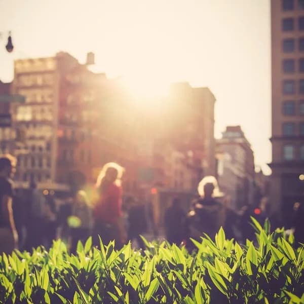 Sunlit city scene with green plants in the foreground and people walking in the blurred background.