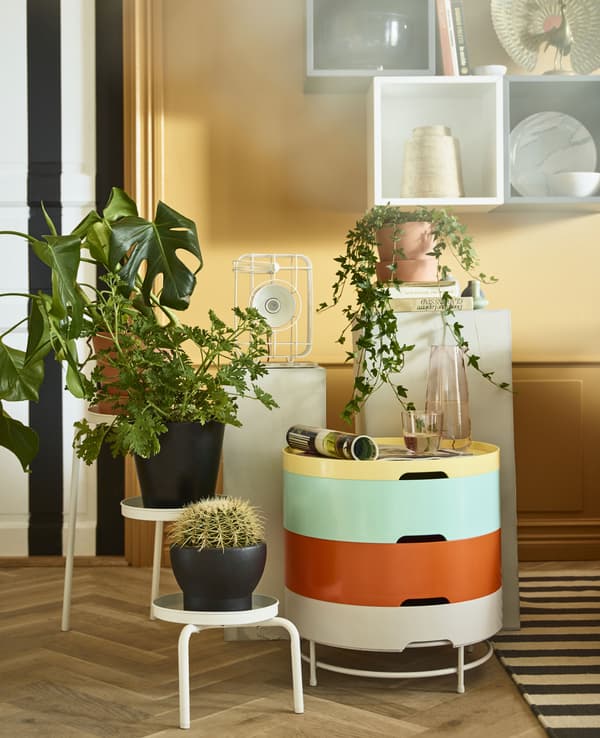 Support pour plantes, table d’appoint, piédestaux et éléments muraux servent de faire-valoir à des objets décoratifs et des plantes.