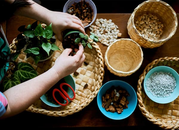 Sur une table, corbeilles remplies de matériaux de jardinage. Deux mains tiennent un pot de culture.