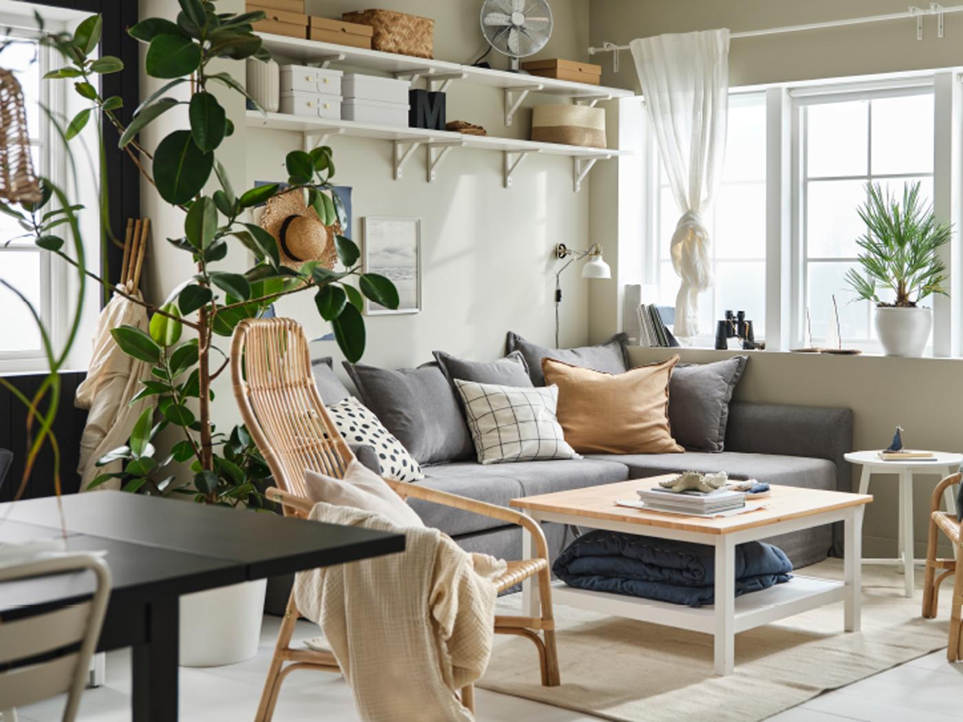 Svetla dnevna soba z velikimi okni, HOLMSUND kotno raztegljivo zofo in HEMNES klubsko mizico, tekstilom in velikimi rastlinami.